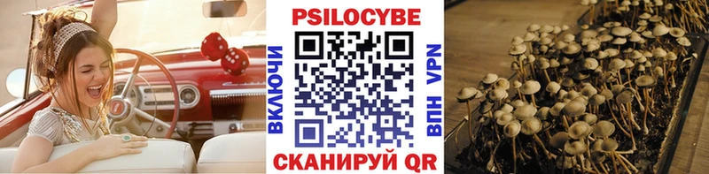 купить   Владикавказ  Галлюциногенные грибы Cubensis 