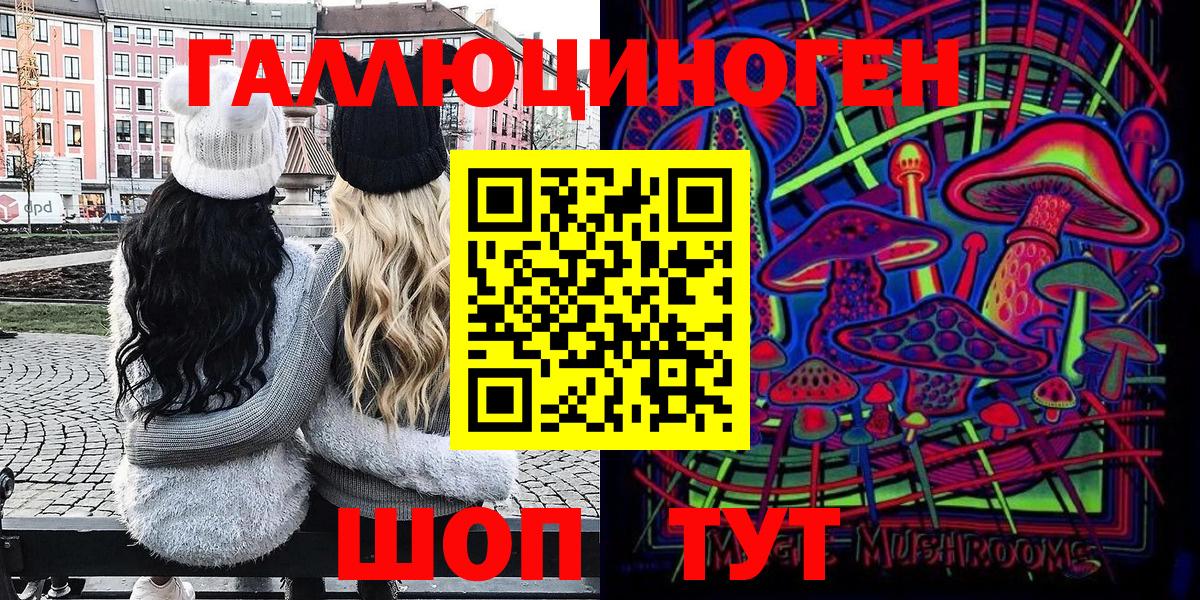 Псилоцибиновые грибы Psilocybe Владикавказ