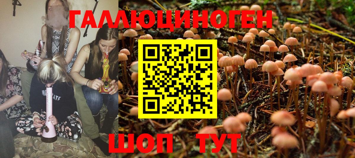 Владикавказ  Галлюциногенные грибы Magic Shrooms  Вход с VPN 
