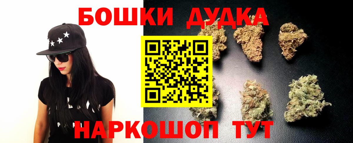 Канабис план  Канабис ГИДРОПОН  Владикавказ  Вход с VPN 